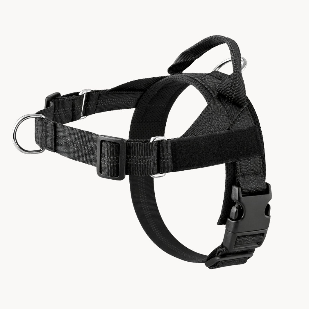 Harnais Anti-Traction Isba&Co