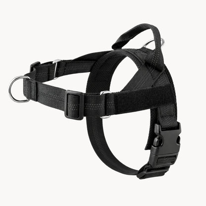 Harnais Anti-Traction Isba&Co
