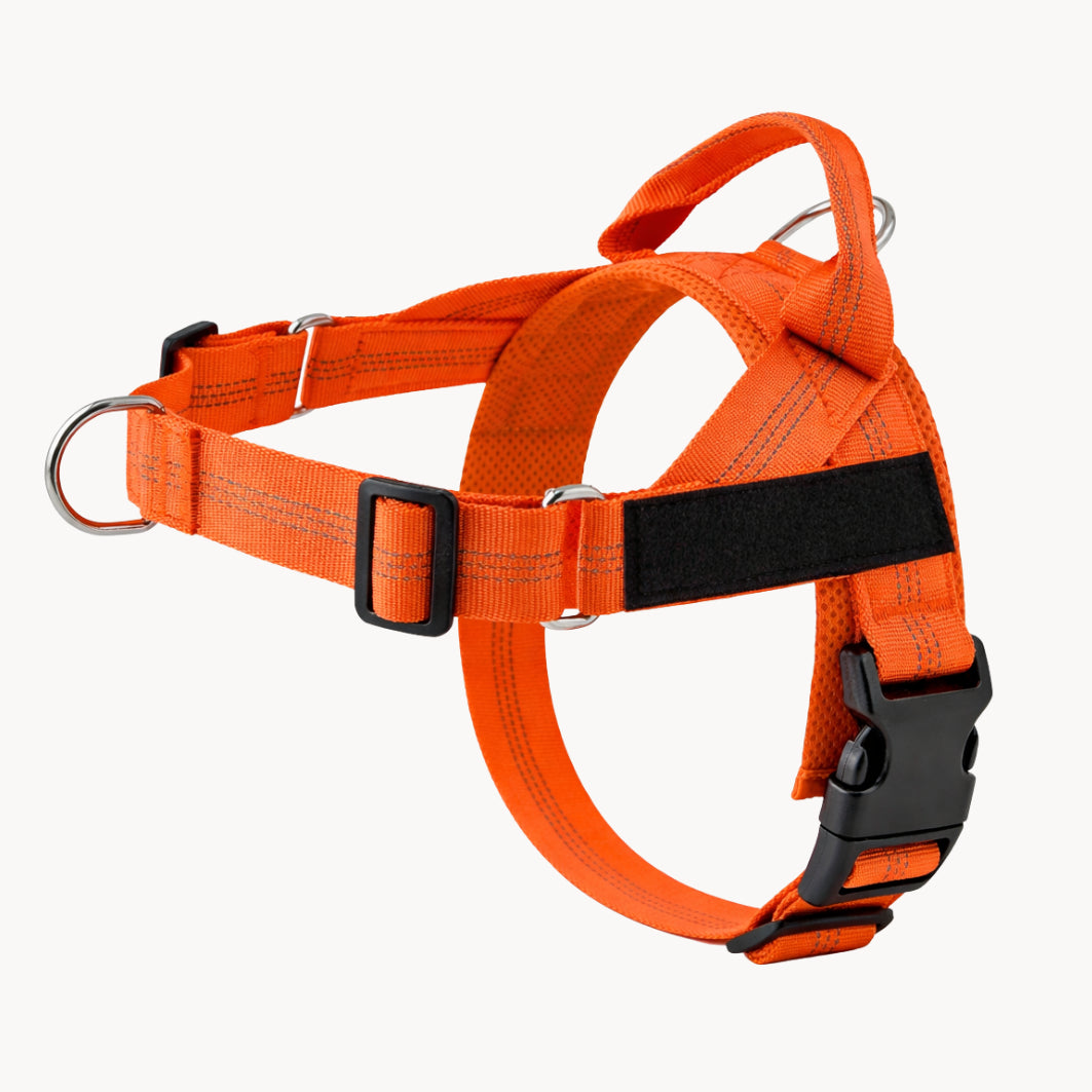 Harnais Anti-Traction Isba&Co