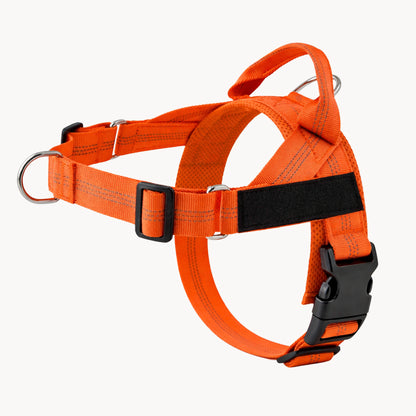 Harnais Anti-Traction Isba&Co
