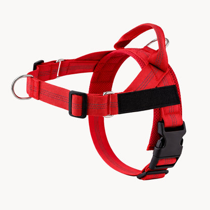 Harnais Anti-Traction Isba&Co