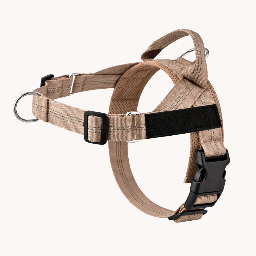 Harnais Anti-Traction Isba&Co