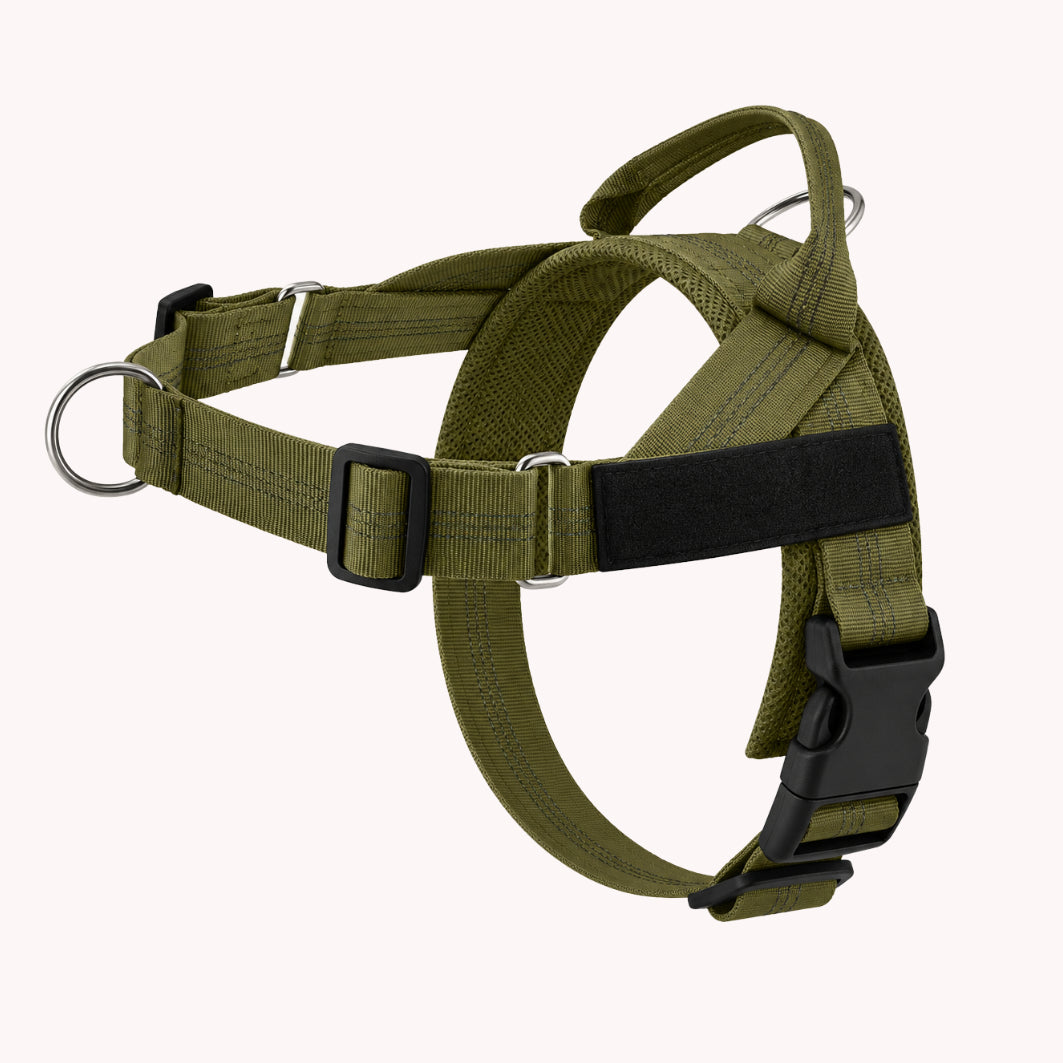 Harnais Anti-Traction Isba&Co