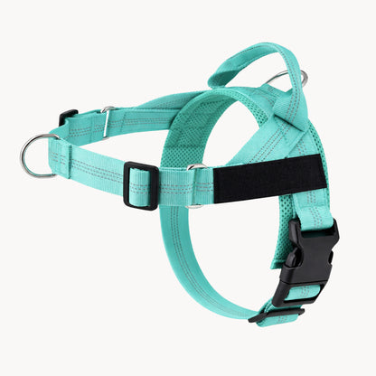 Harnais Anti-Traction Isba&Co
