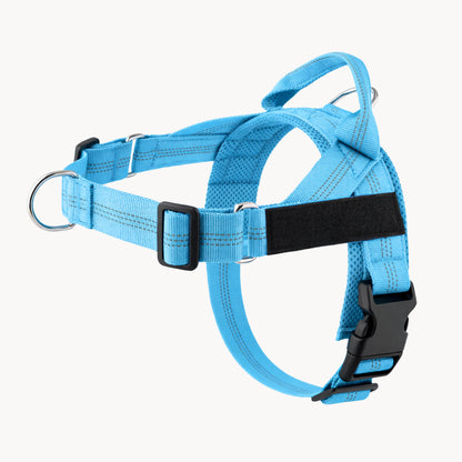 Harnais Anti-Traction Isba&Co