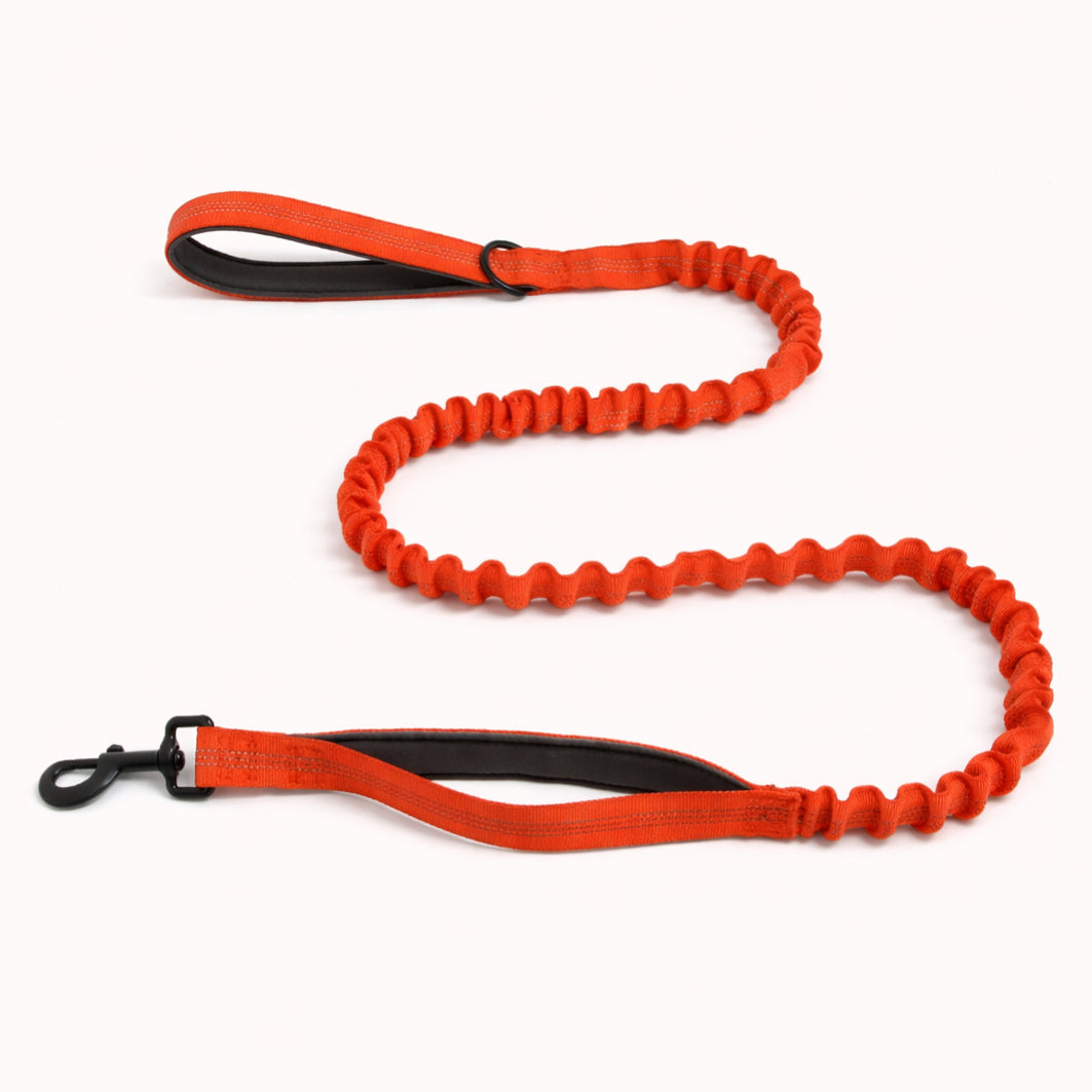 Laisse élastique Isba&Co