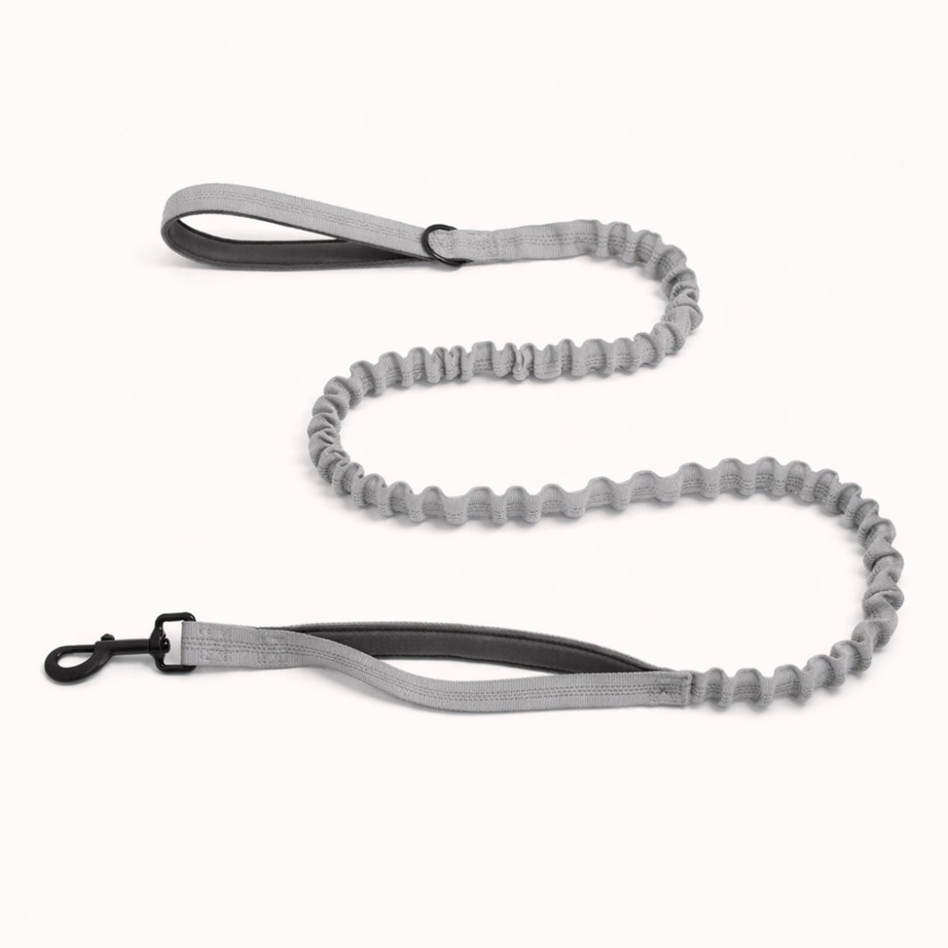 Laisse élastique Isba&Co