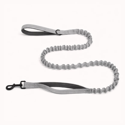 Laisse élastique Isba&Co