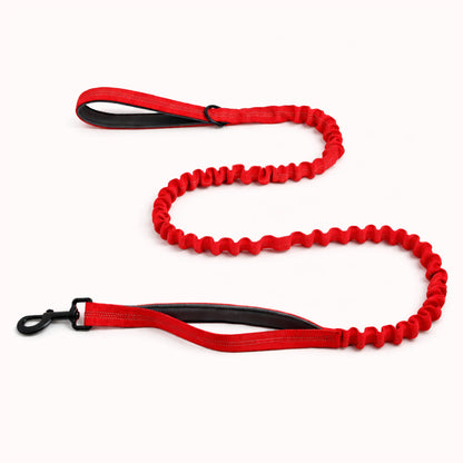 Laisse élastique Isba&Co