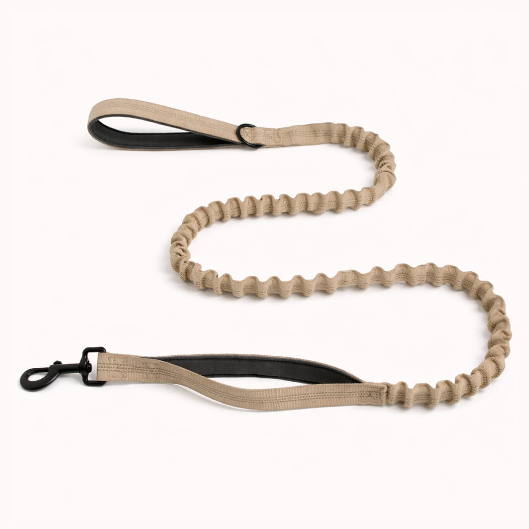 Laisse élastique Isba&Co