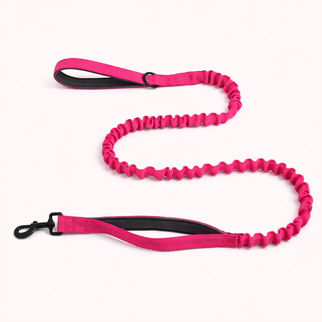 Laisse élastique Isba&Co