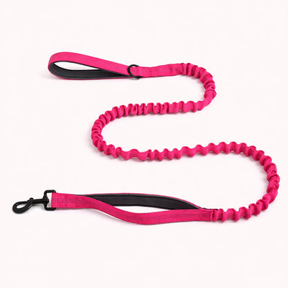 Laisse élastique Isba&Co