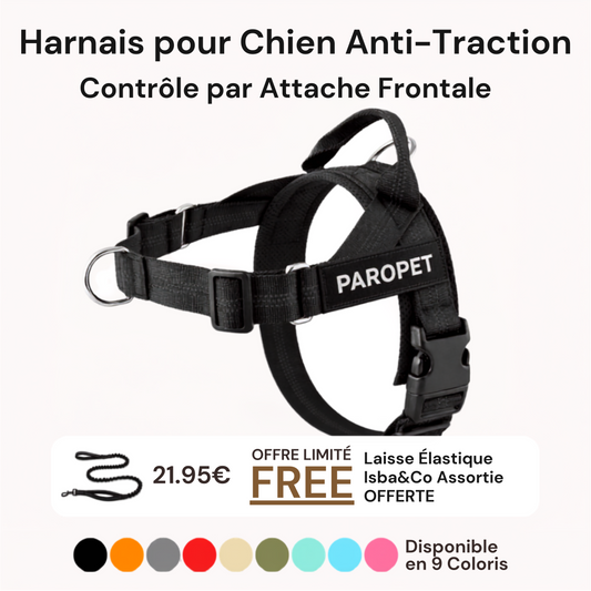 Harnais Anti-Traction Isba&Co