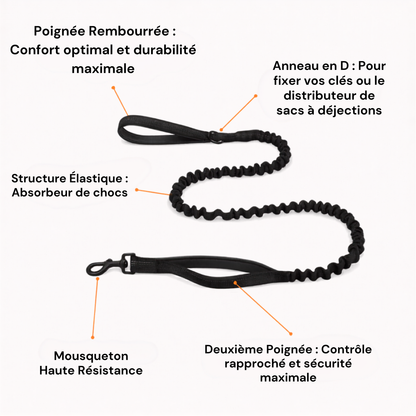 Harnais Anti-Traction Isba&Co