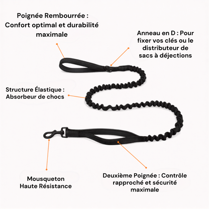 Harnais Anti-Traction Isba&Co