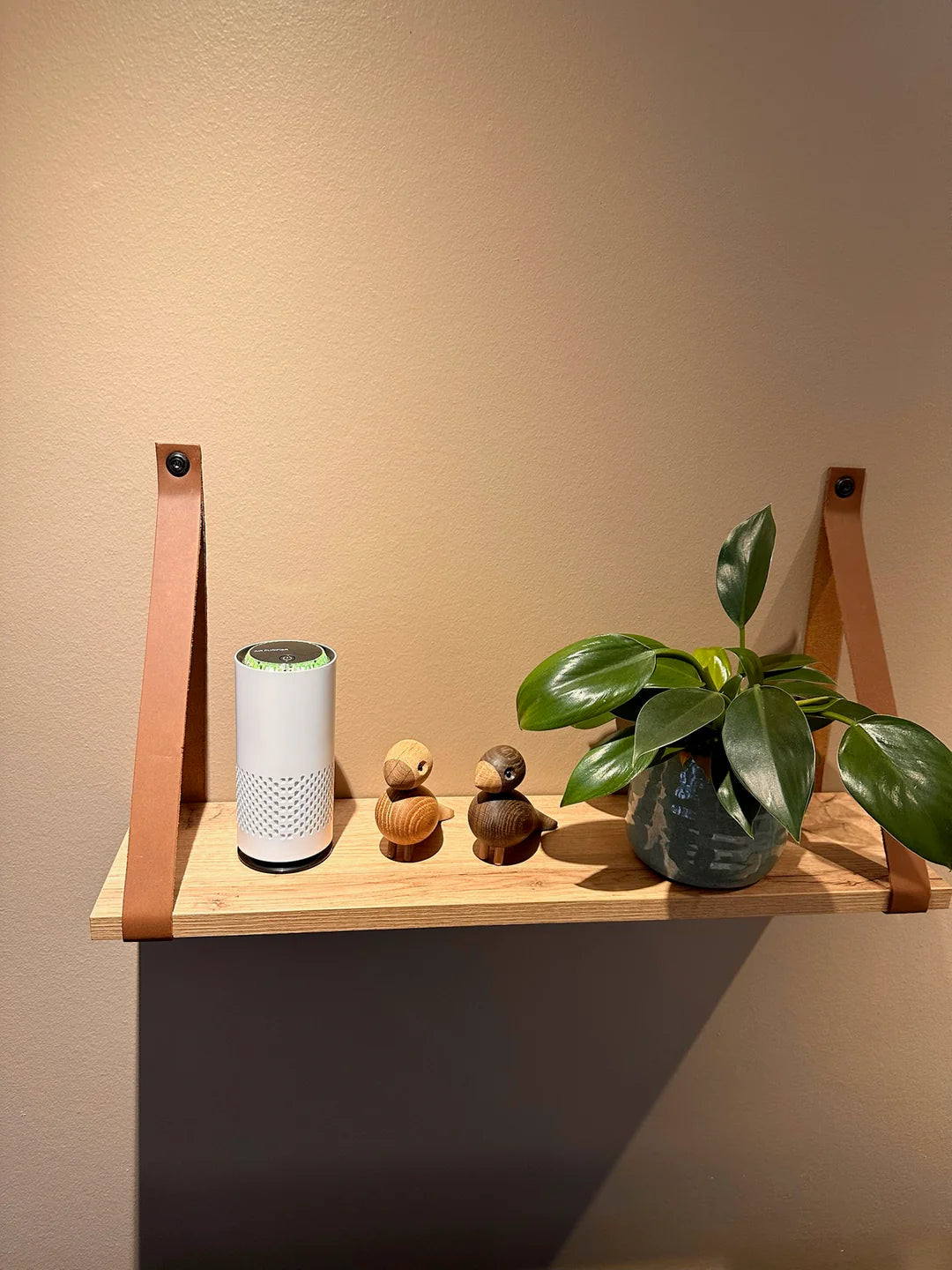 Purificateur d'air - Isba&Co