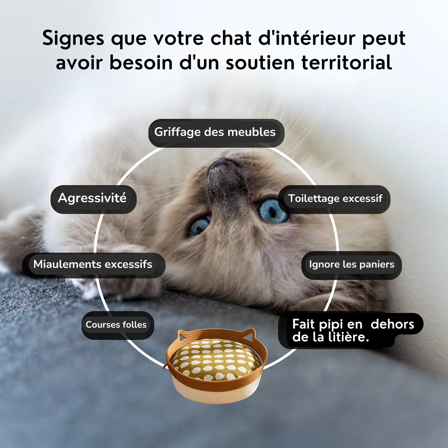 Le Panier Instinct - Isba&Co