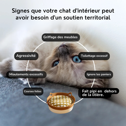 Le Panier Instinct - Isba&Co