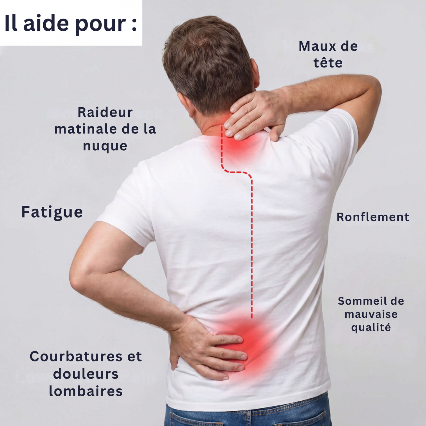 L'Oreiller Ergonomique IsbaSleep ErgoPro : Alignement cervical et sommeil profond sans douleur
