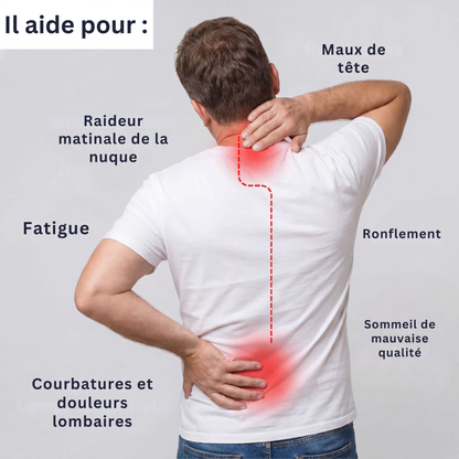 L'Oreiller Ergonomique IsbaSleep ErgoPro : Alignement cervical et sommeil profond sans douleur