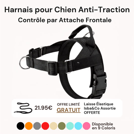Harnais Anti-Traction Isba&Co