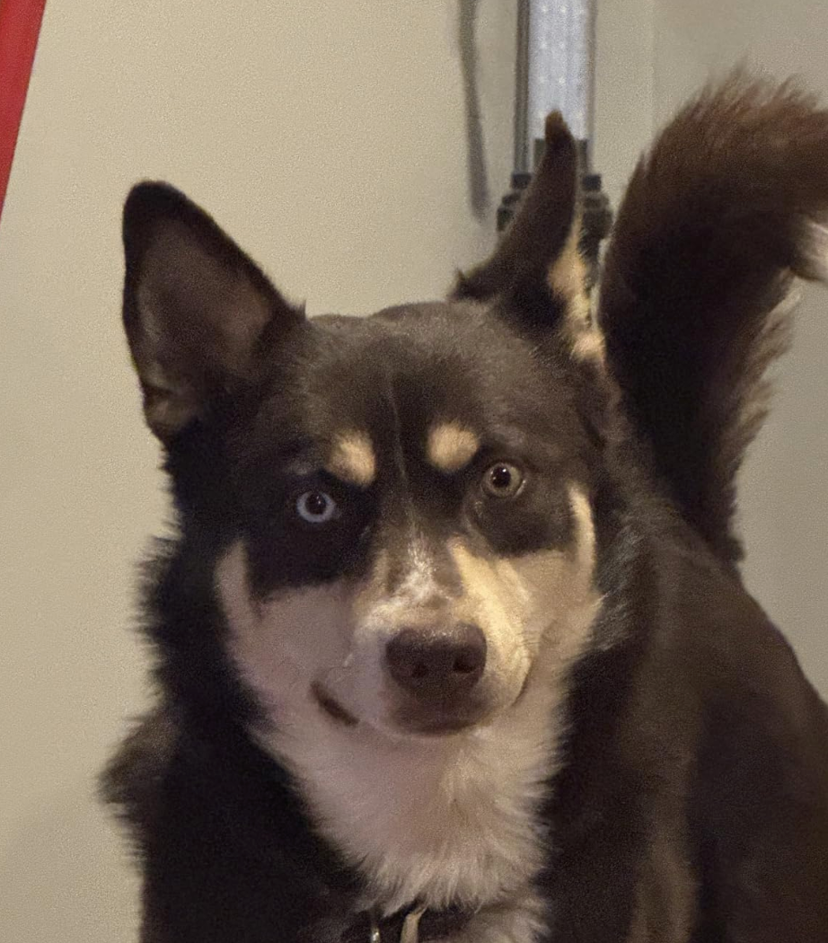 Enzo R.